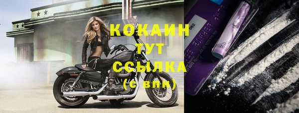 спиды Аркадак