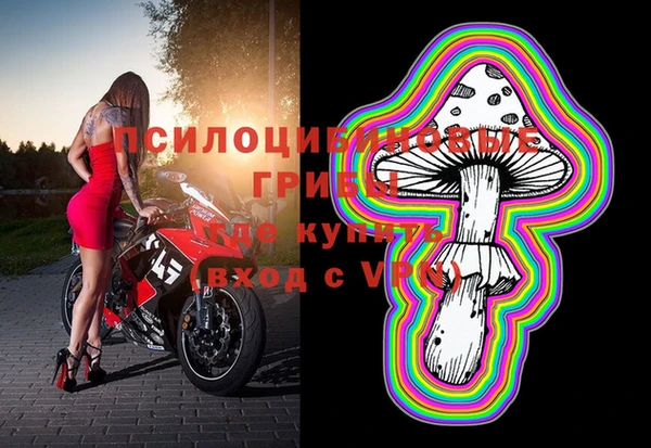 а пвп мука Армянск